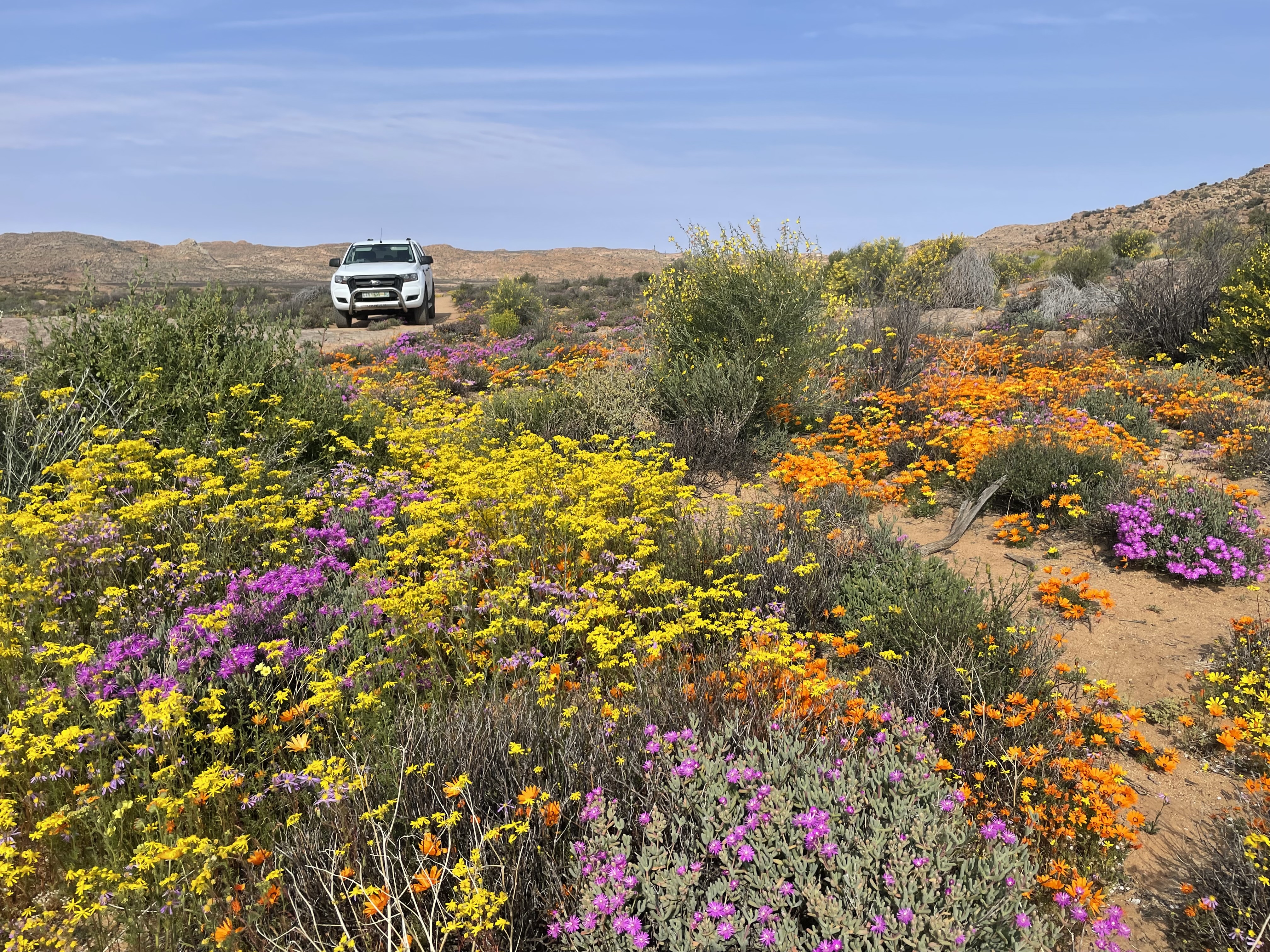 Flower Hunt