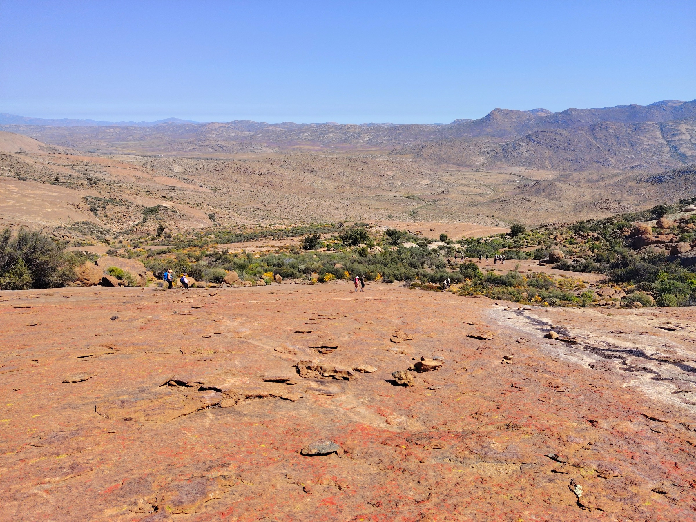 Day Tours