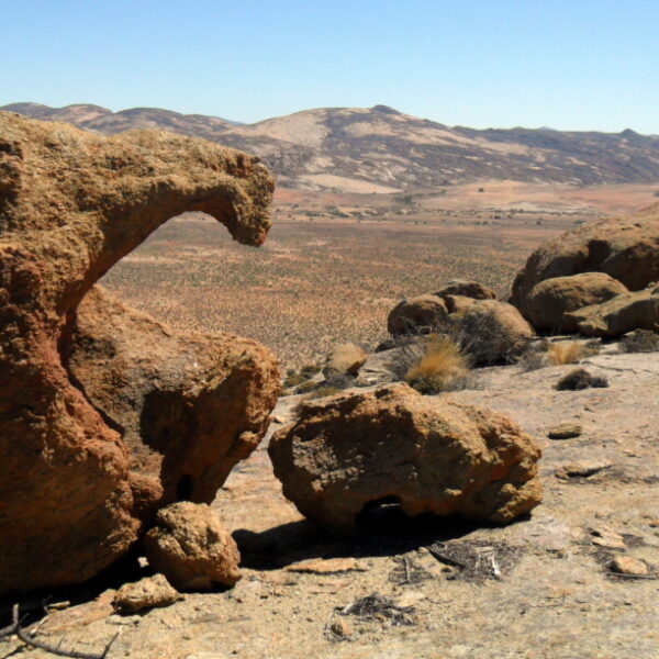 Landscape view