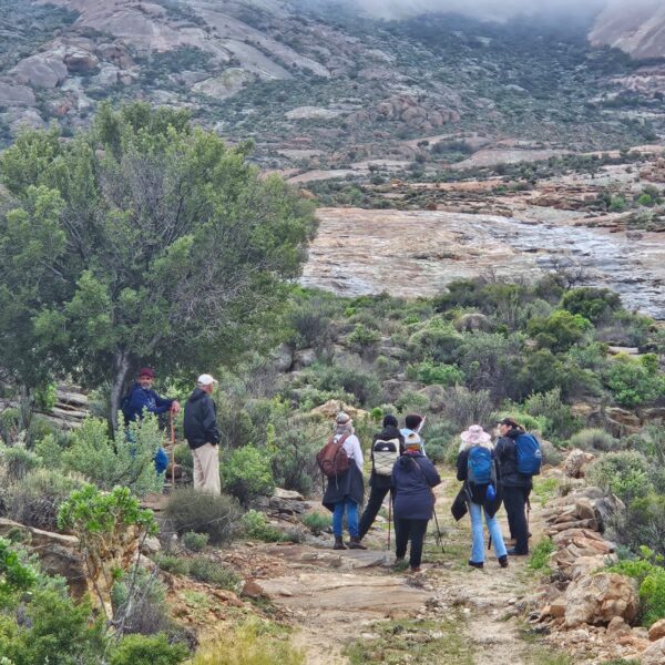 Trail scenery